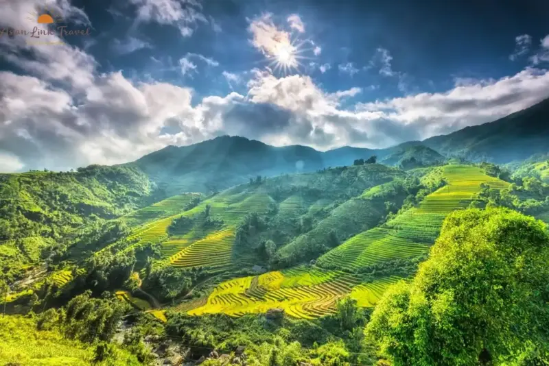 Golden rice terraces in Sapa glowing under the sunlight – a stunning masterpiece of Northern Vietnam’s highlands.