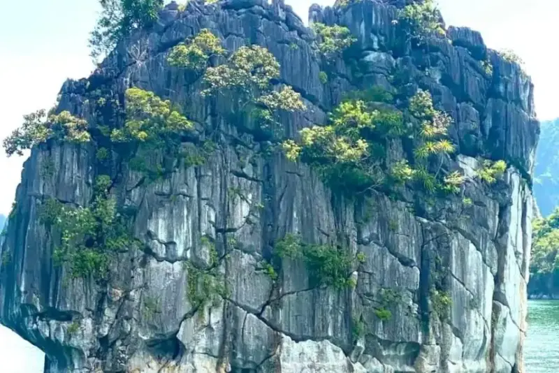 Incense Burner Islet Halong Bay