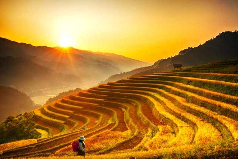 Colorful Paradises of Vietnam