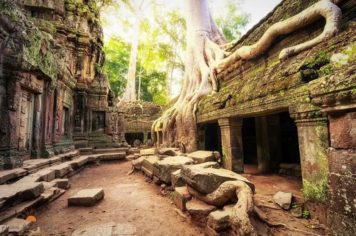 Ta Prohm Temple Angkor Cambodia