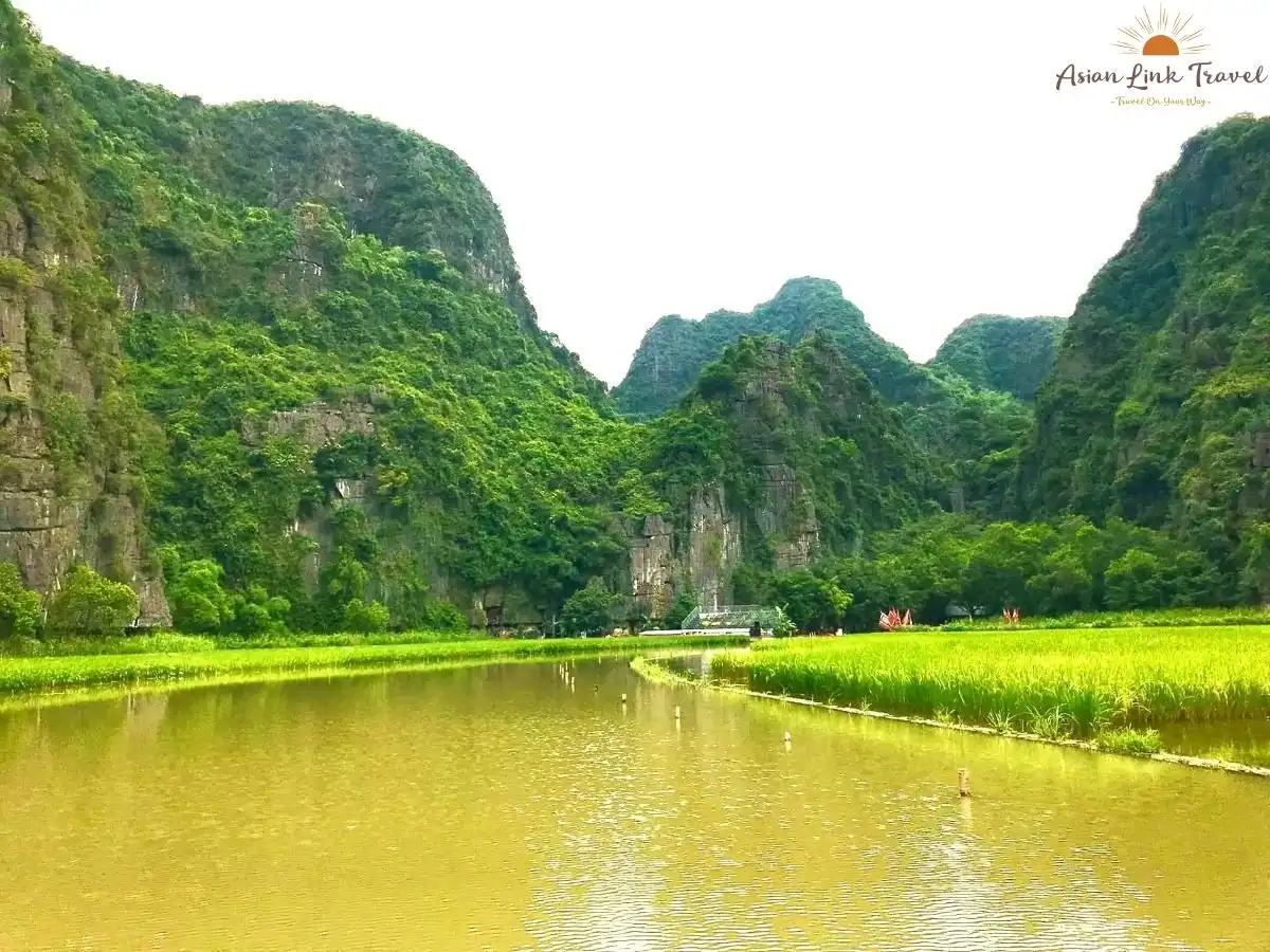 Tam Coc Rice Fields