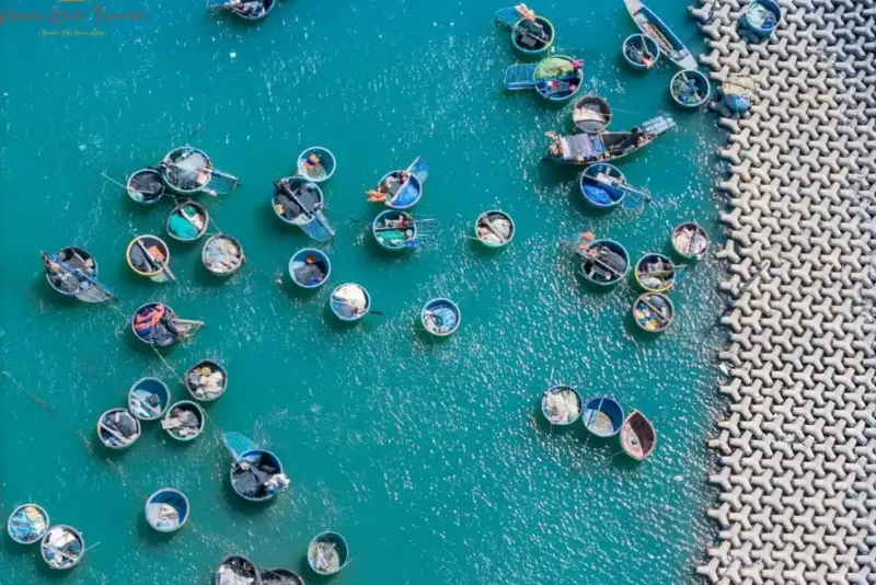 Vung Tau Coral Boats