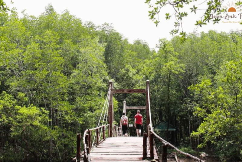 Can Gio Mangrove Biosphere Reserve (4)