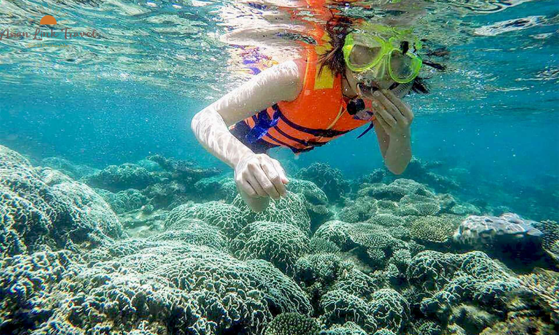 Cham Islands Snorkeling Open Tour – Explore Crystal-Clear Waters & Colorful Reefs