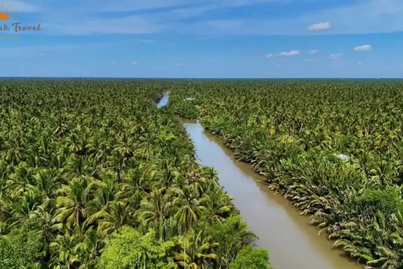 Mekong Delta Ben Tre Coconut Forest