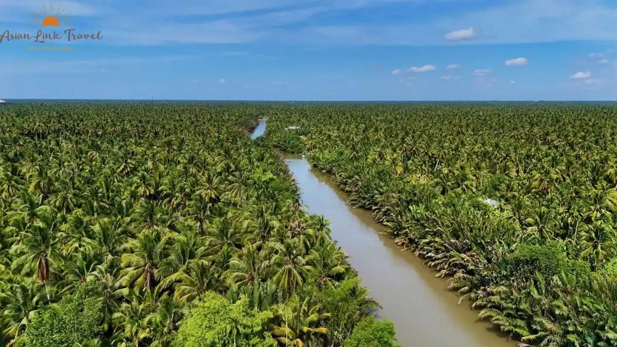 Mekong Delta Ben Tre Coconut Forest