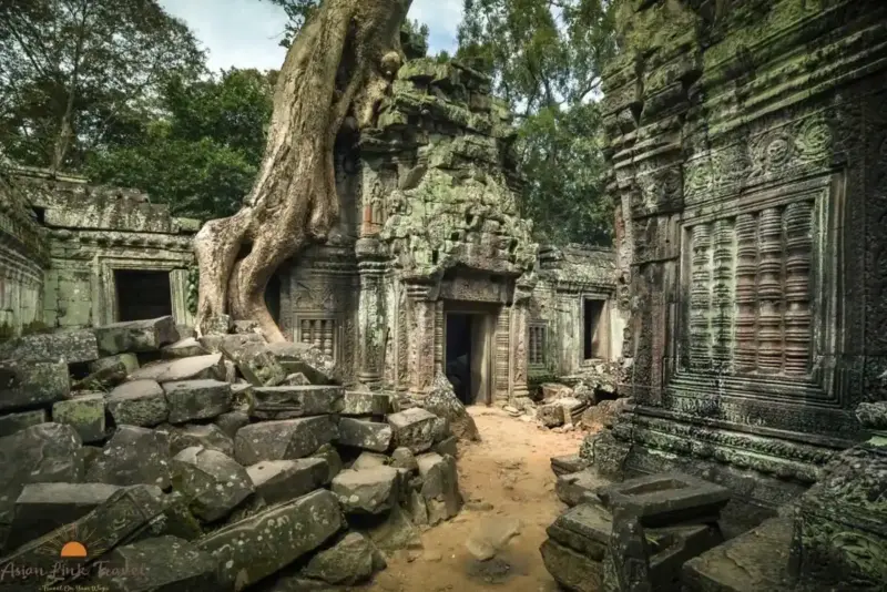 Ta Prohm Temple With Ancient Tree