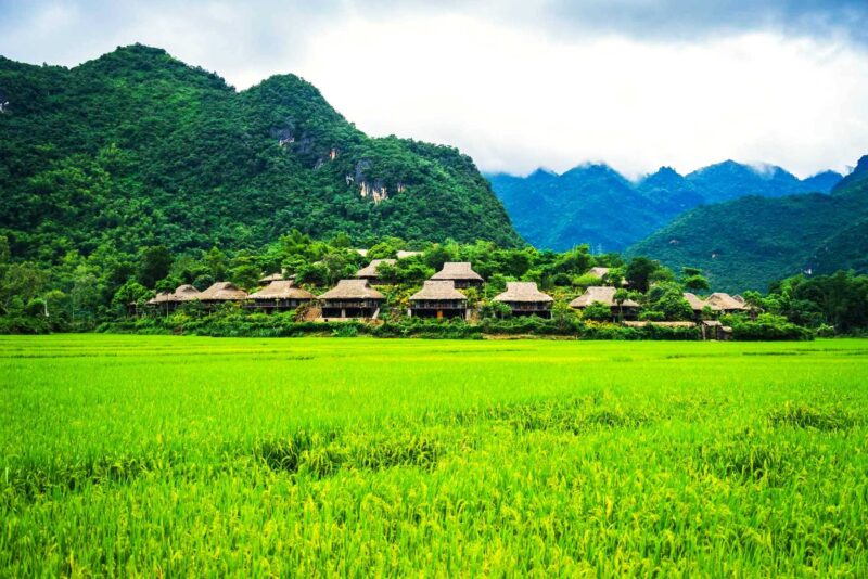 Mai Châu