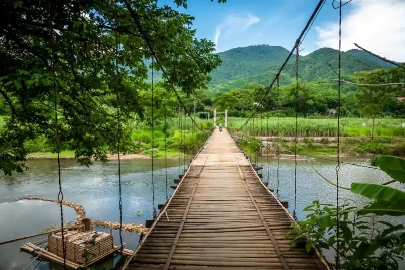 Pu Luong Bamboo Bridge