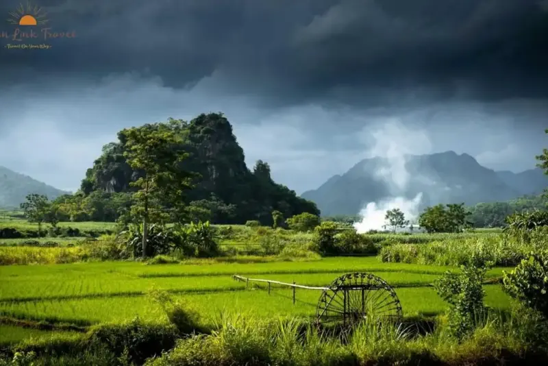 Pu Luong Rice Field