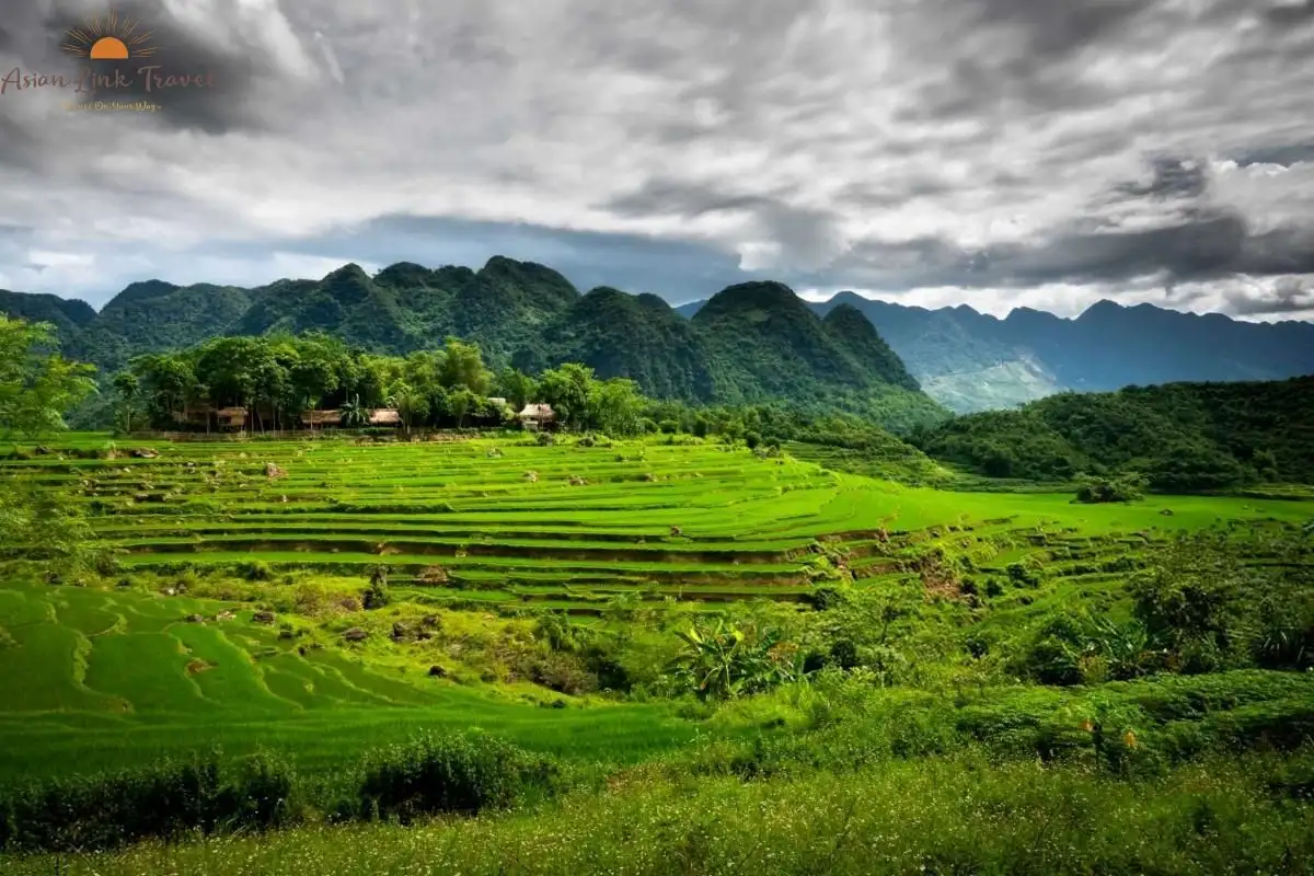 Pu Luong Terraced Fields