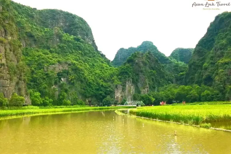 Tam Coc Rice Fields