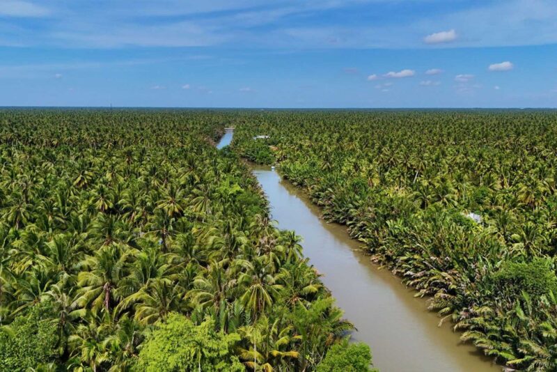 Explore the Magic of the Mekong Delta in Vietnam
