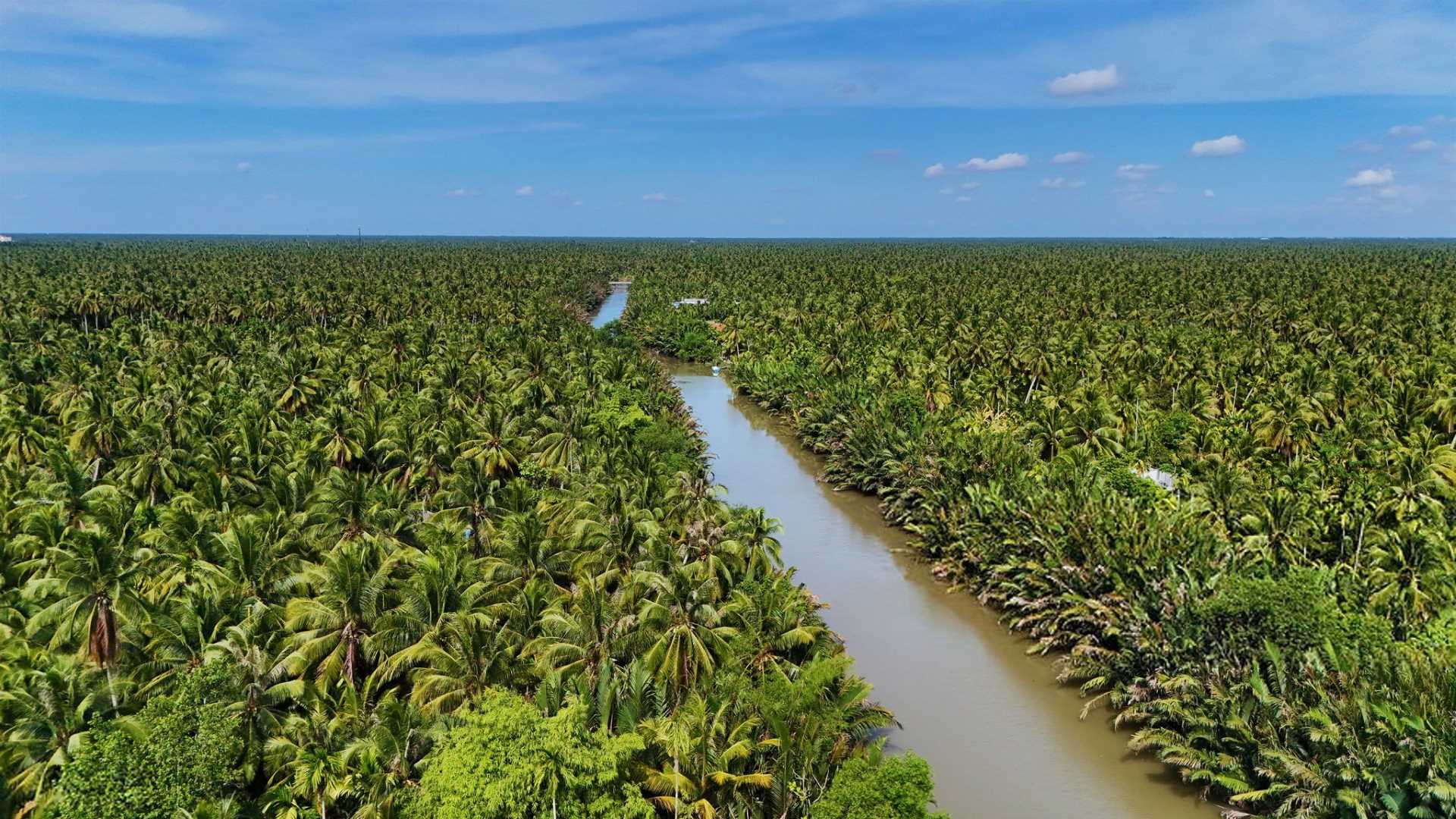 Mekong Delta in Vietnam