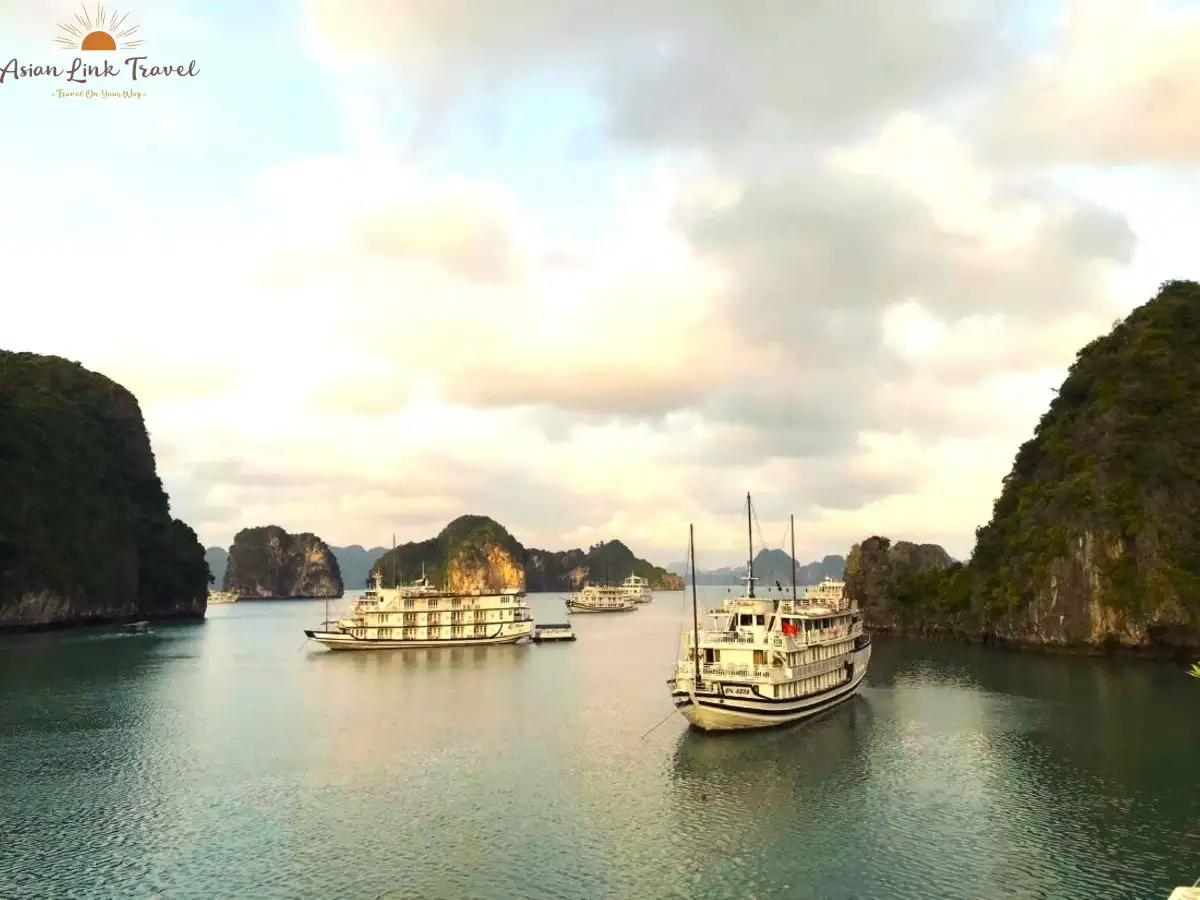 Cruise Ships Halong Bay