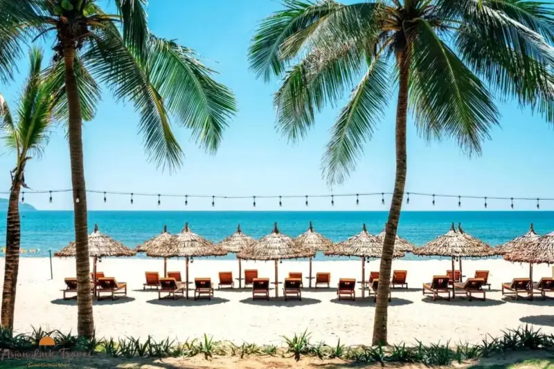 My Khe Beach Danang