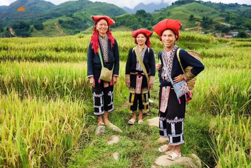 Red Dao Ethnic Group Sapa