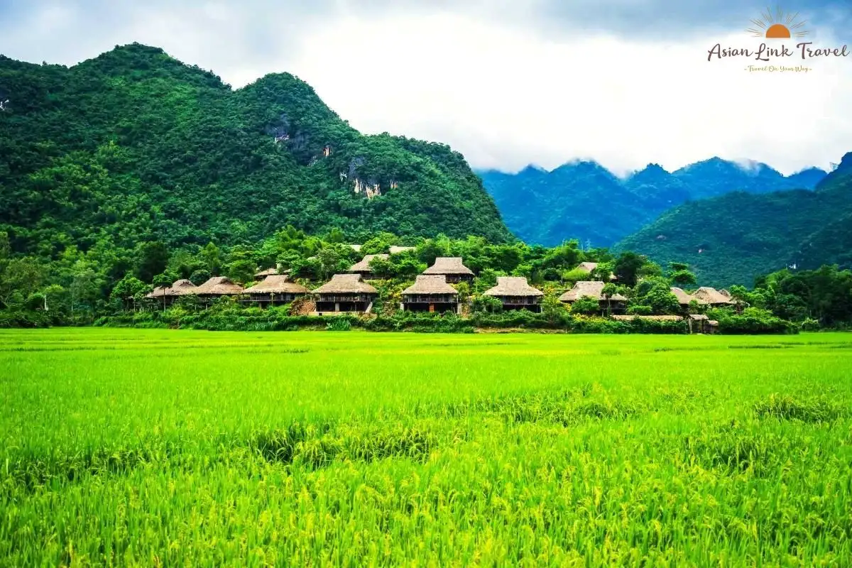 Mai Chau Traditional Stilt Houses