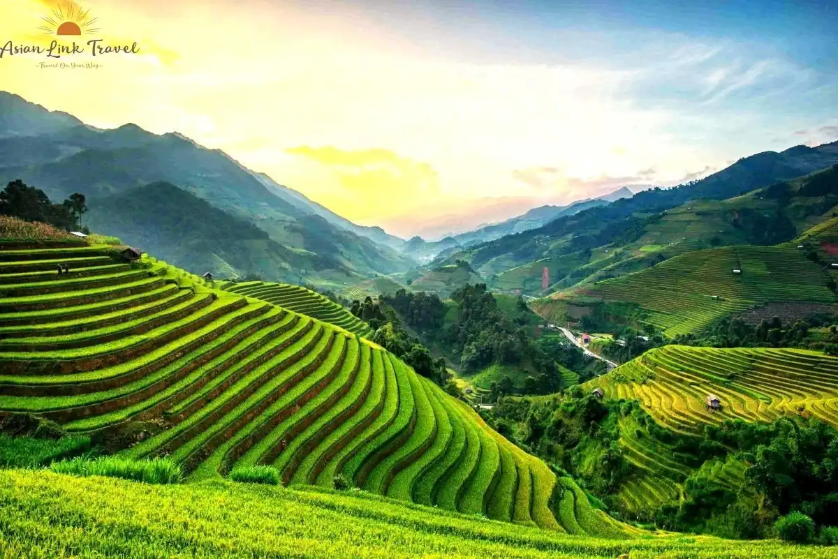 Mu Cang Chai Green Terraces