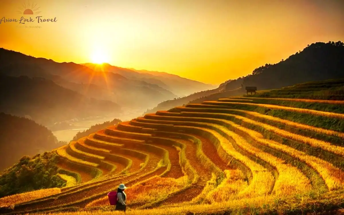 Mu Cang Chai Sunset View